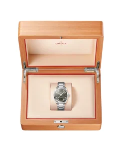 OMEGA Seamaster Aqua Terra Co-Axial Master Chronometer 38 mm | 220.10.38.20.10.003