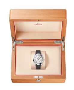 OMEGA Seamaster Aqua Terra 150M Plateado Acero 41 mm | 220.12.41.21.02.002