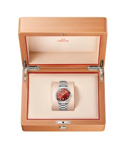 OMEGA Seamaster Aqua Terra Shades Terracota Acero 38 mm | 220.10.38.20.13.003