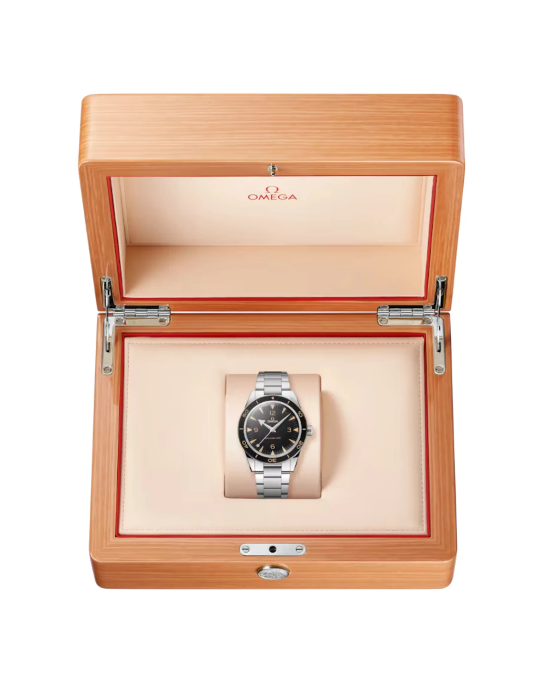 OMEGA Seamaster 300 Co‑Axial Master Chronometer 41 mm | 234.30.41.21.01.001