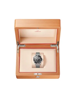 OMEGA Seamaster Diver 300M Co‑Axial Master Chronometer 42 mm | 210.30.42.20.01.010
