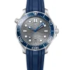 OMEGA Seamaster Diver 300M Co-Axial Master Chronometer Gris Acero 42 mm | 210.32.42.20.06.001