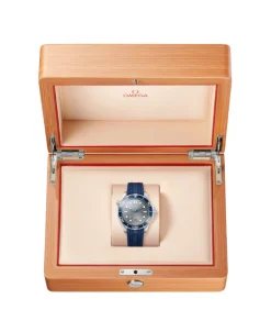 OMEGA Seamaster Diver 300M Co-Axial Master Chronometer Gris Acero 42 mm | 210.32.42.20.06.001