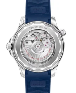 OMEGA Seamaster Diver 300M Co-Axial Master Chronometer Gris Acero 42 mm | 210.32.42.20.06.001