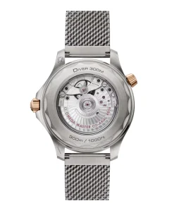 OMEGA Seamaster Diver 300M 42 mm | 210.90.42.20.10.001