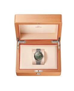 OMEGA Seamaster Diver 300M 42 mm | 210.90.42.20.10.001
