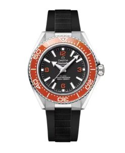 OMEGA Seamaster Planet Ocean 600M Co-Axial Master Chronometer 42 mm | 217.32.42.21.01.003