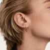 Piercing PDPAOLA Naoki Ojo de Tigre Plata Baño Oro | PG01-692